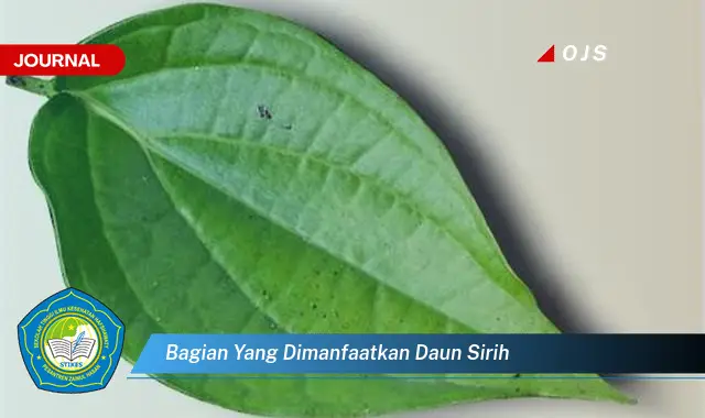 bagian yang dimanfaatkan daun sirih