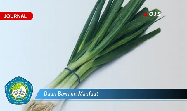 daun bawang manfaat