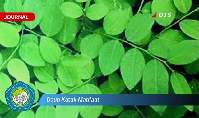 Ketahui 8 Manfaat Daun Katuk untuk Kesehatan, Kecantikan, dan Ibu Menyusui