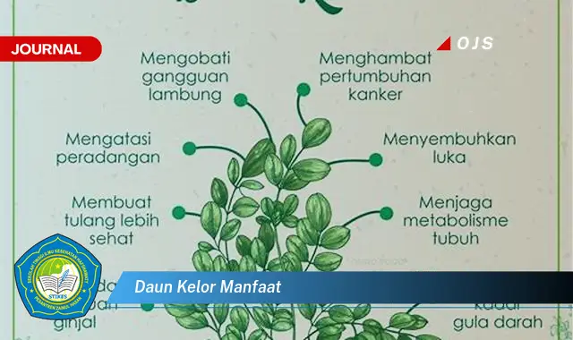 daun kelor manfaat