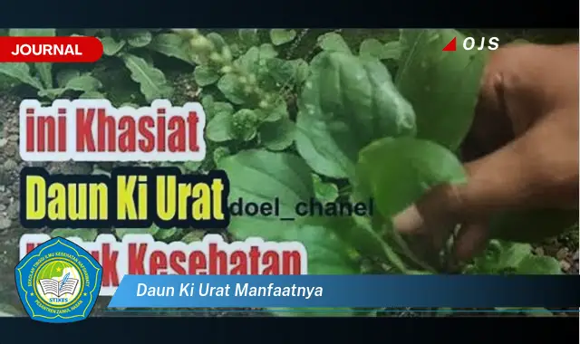 daun ki urat manfaatnya