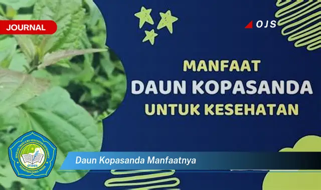 Ketahui 9 Manfaat Daun Kopasanda untuk Kesehatan Anda