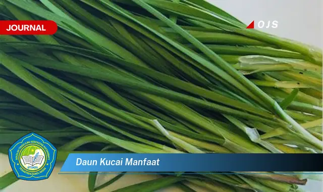 daun kucai manfaat