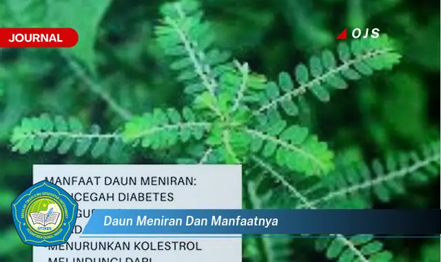 Ketahui 10 Manfaat Daun Meniran untuk Kesehatan Anda Secara Lengkap