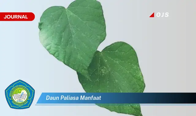 daun paliasa manfaat