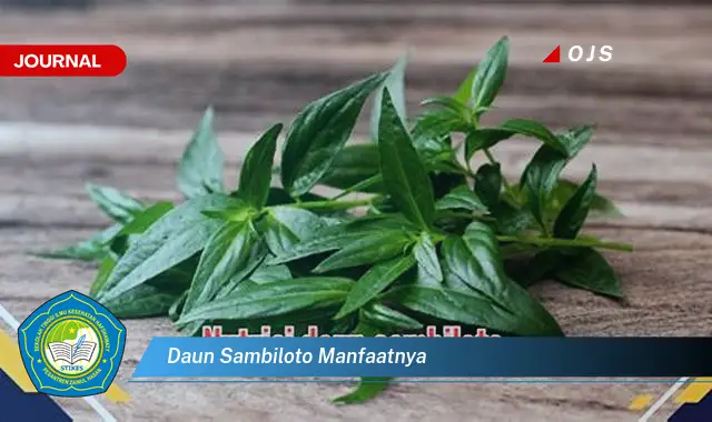 daun sambiloto manfaatnya