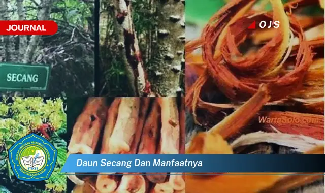 Ketahui 10 Manfaat Daun Secang untuk Kesehatan Anda