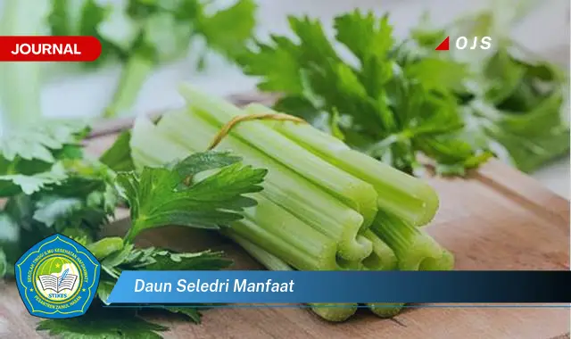 daun seledri manfaat