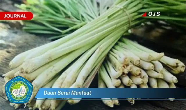 daun serai manfaat