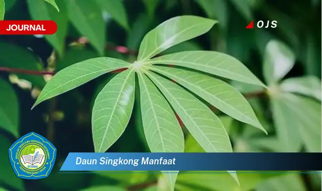 daun singkong manfaat