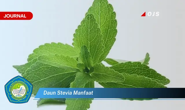 daun stevia manfaat