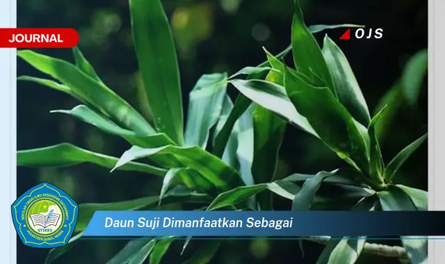 Ketahui 10 Manfaat Daun Suji Sebagai Pewarna Alami dan Penambah Aroma Makanan