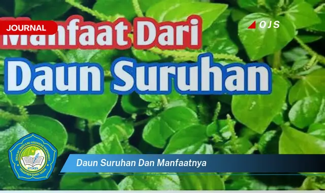 daun suruhan dan manfaatnya