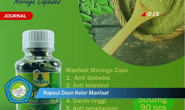 kapsul daun kelor manfaat