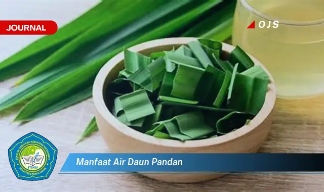 manfaat air daun pandan