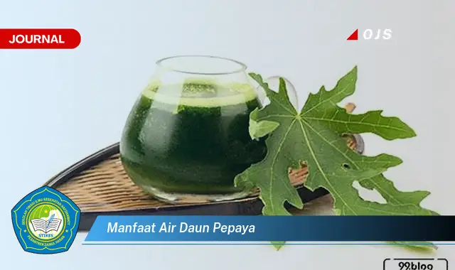 manfaat air daun pepaya