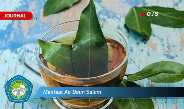 manfaat air daun salam