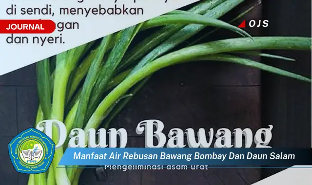 manfaat air rebusan bawang bombay dan daun salam