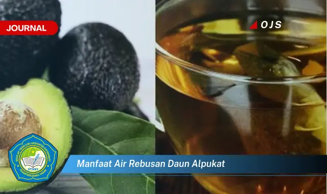 Ketahui 10 Manfaat Air Rebusan Daun Alpukat untuk Kesehatan Anda