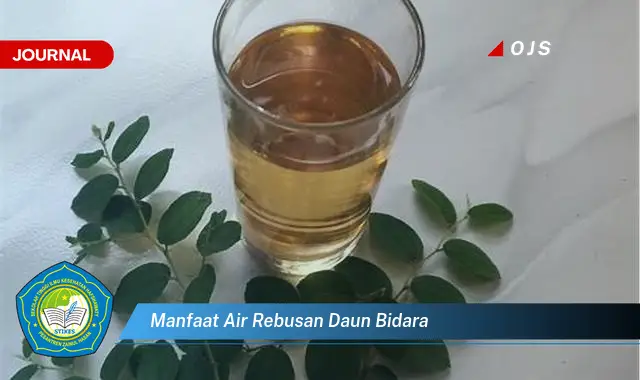 manfaat air rebusan daun bidara