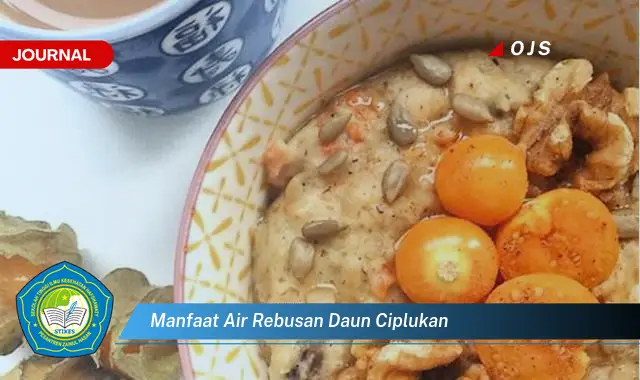 manfaat air rebusan daun ciplukan