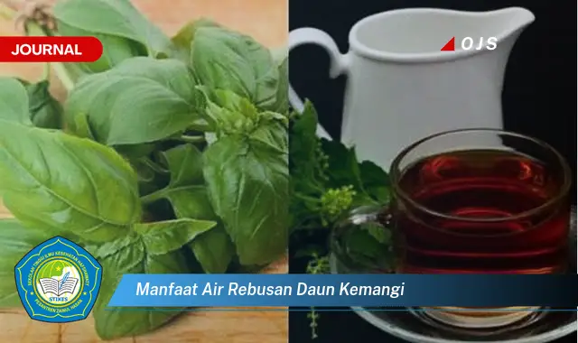 manfaat air rebusan daun kemangi