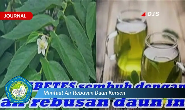 manfaat air rebusan daun kersen