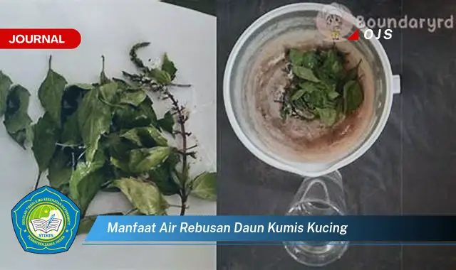 Ketahui 8 Manfaat Air Rebusan Daun Kumis Kucing untuk Kesehatan Anda