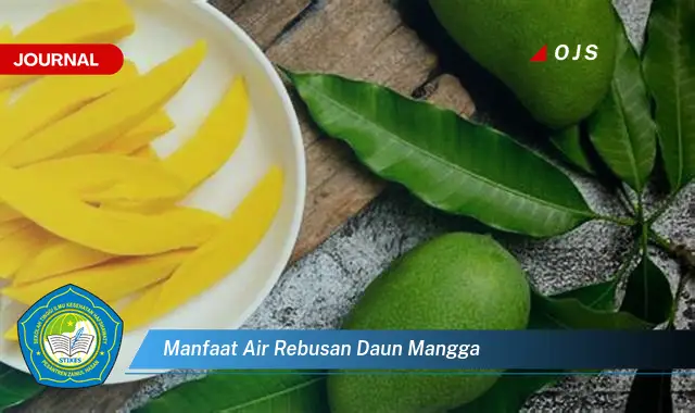 manfaat air rebusan daun mangga