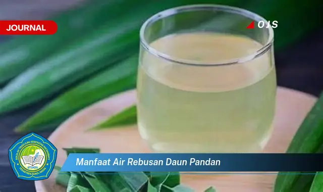 manfaat air rebusan daun pandan