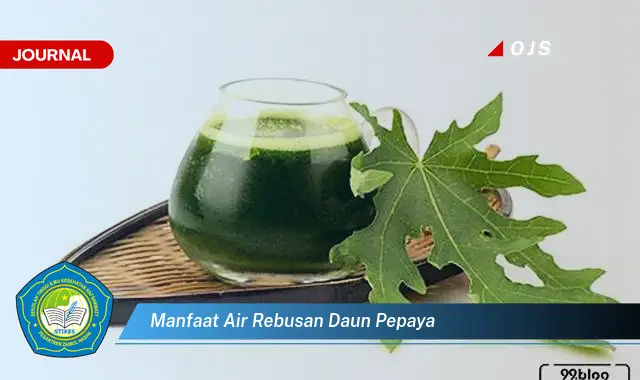 manfaat air rebusan daun pepaya