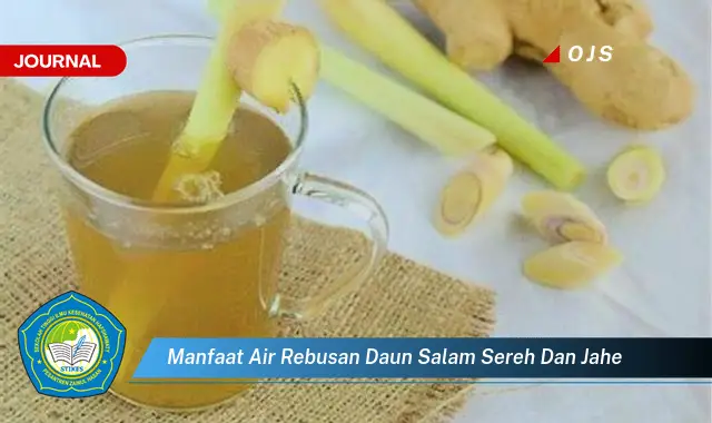 manfaat air rebusan daun salam sereh dan jahe