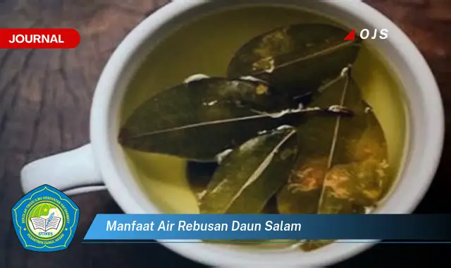 manfaat air rebusan daun salam