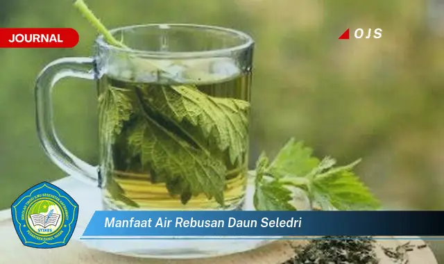 manfaat air rebusan daun seledri