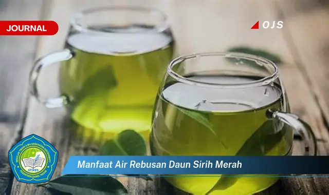 manfaat air rebusan daun sirih merah