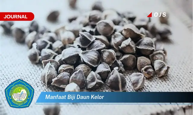 Ketahui 9 Manfaat Biji dan Daun Kelor untuk Kesehatan Tubuh Anda