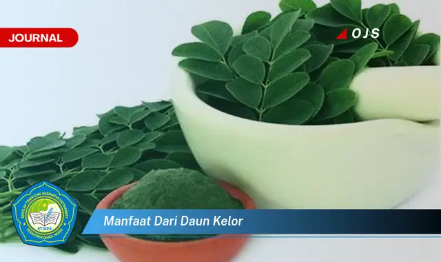 manfaat dari daun kelor