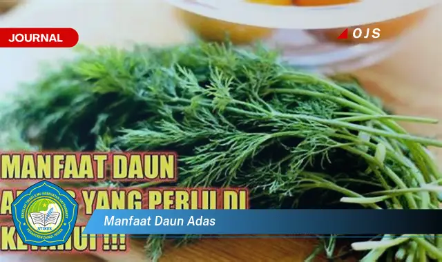 manfaat daun adas