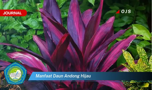 manfaat daun andong hijau