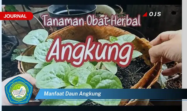 manfaat daun angkung