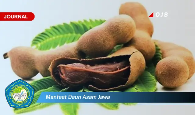 manfaat daun asam jawa