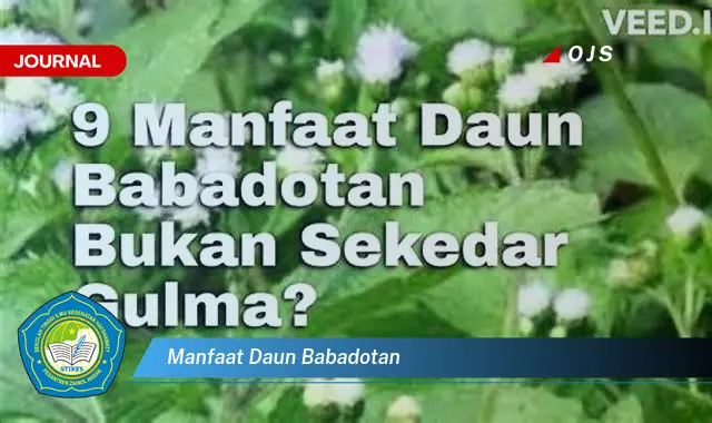 Ketahui 8 Manfaat Daun Babadotan untuk Kesehatan Tubuh Anda