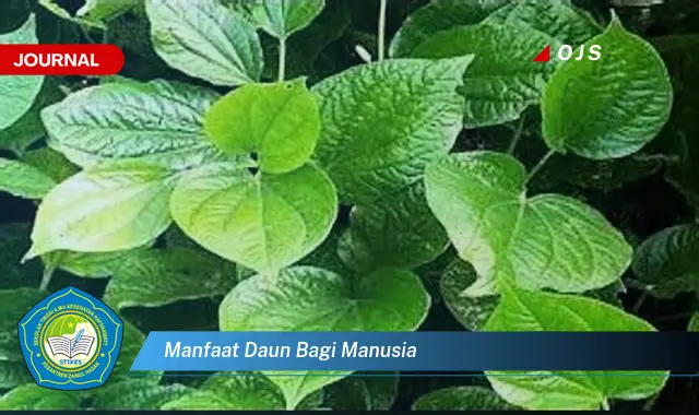 Ketahui 10 Manfaat Daun Bagi Manusia, Dari Kesehatan Hingga Kehidupan Sehari,hari