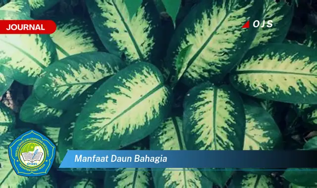 manfaat daun bahagia