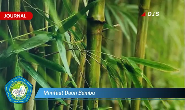 manfaat daun bambu