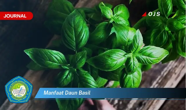 manfaat daun basil