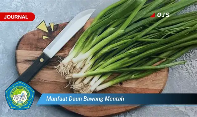 manfaat daun bawang mentah