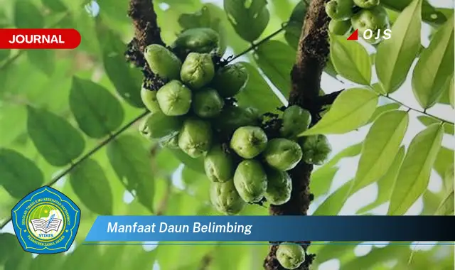 Ketahui 8 Manfaat Daun Belimbing untuk Kesehatan Tubuh Anda