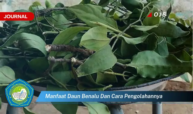 Ketahui 9 Manfaat Daun Benalu untuk Kesehatan dan Cara Mengolahnya dengan Benar