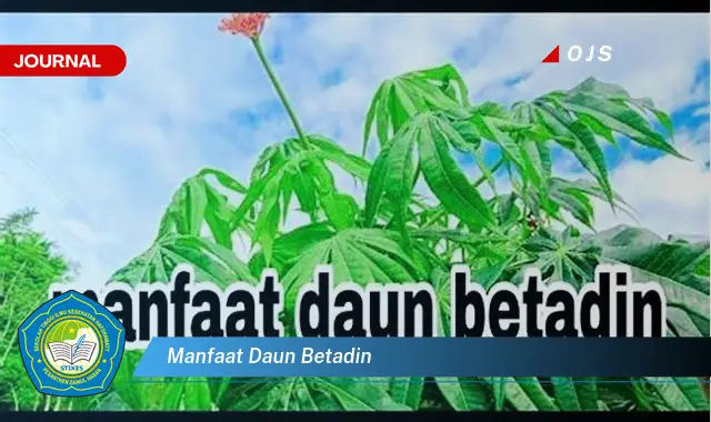 manfaat daun betadin